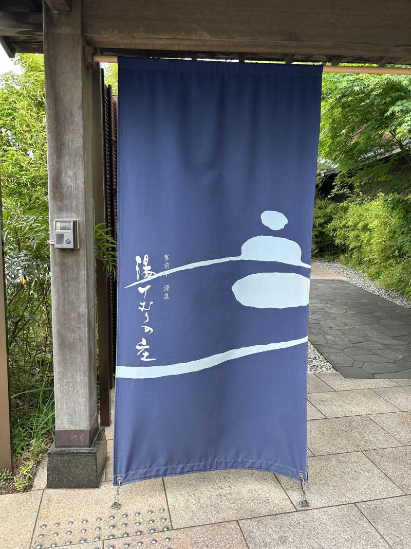 サだもん！さんの宮前平源泉 湯けむりの庄のサ活写真