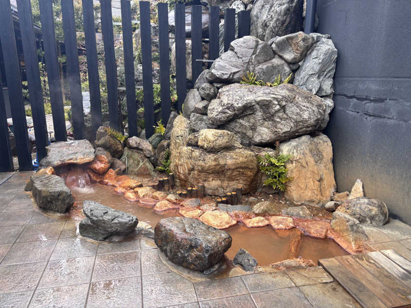 あねもねさんの湯の華廊のサ活写真