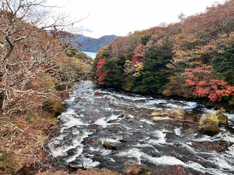 みつおさんの奥日光 森のホテルのサ活写真