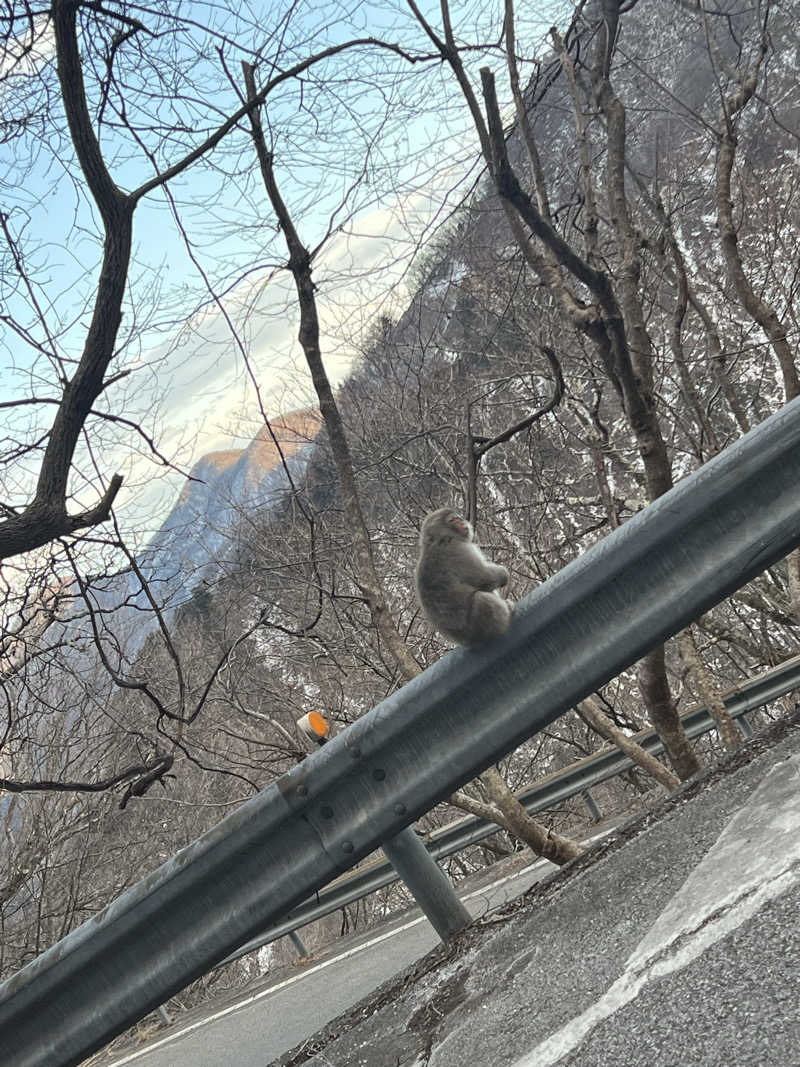 みつおさんの奥日光 森のホテルのサ活写真