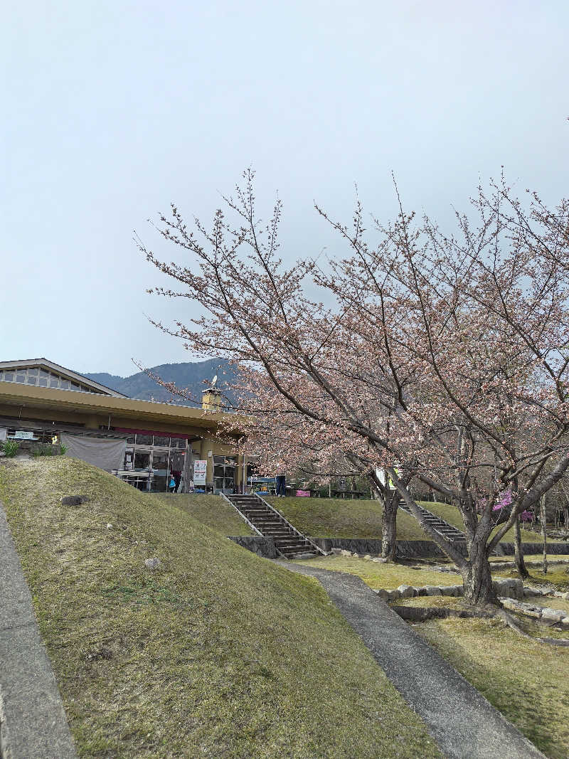 ぱぐさうなーさんの比良とぴあのサ活写真