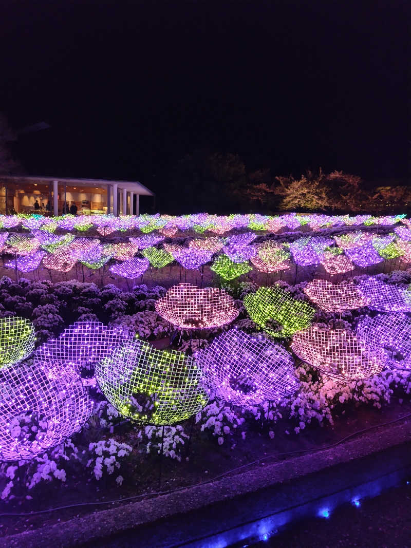 ぱぐさうなーさんのなばなの里 里の湯のサ活写真