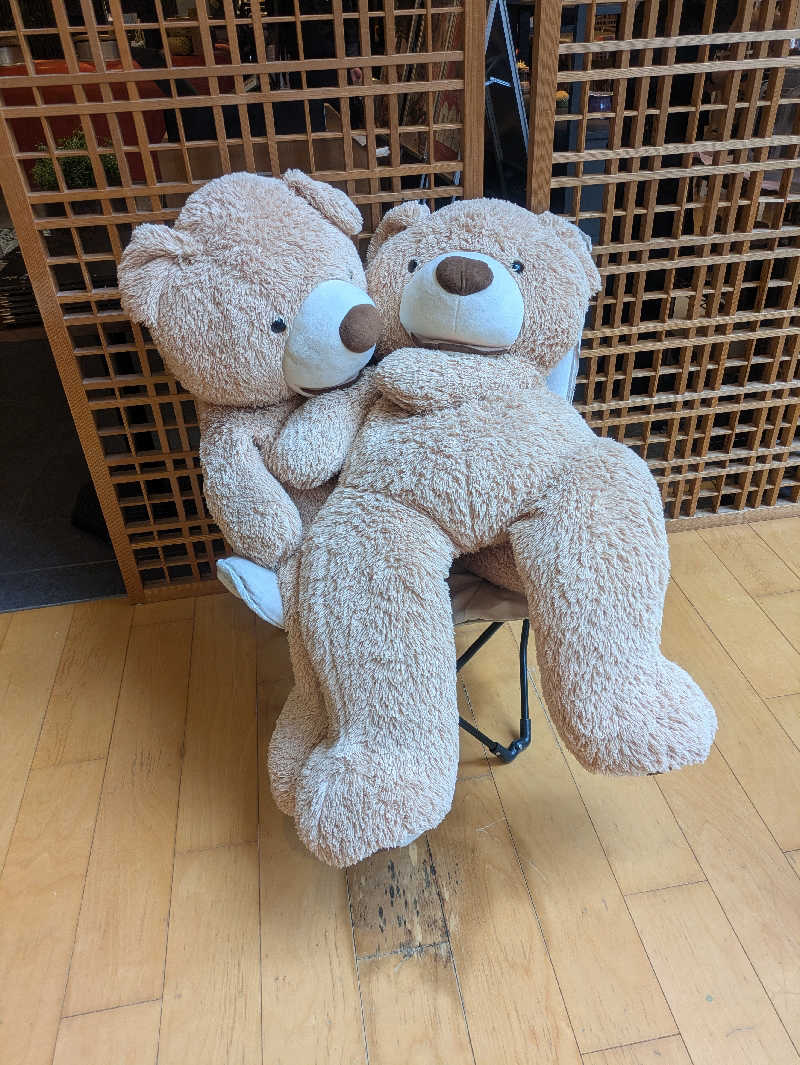 ちゃっぷさんの綱島源泉 湯けむりの庄のサ活写真