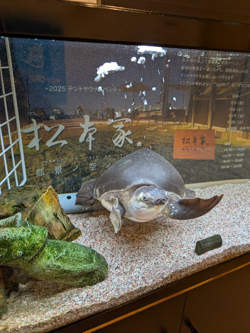 サｩナリーマンさんの松本湯のサ活写真