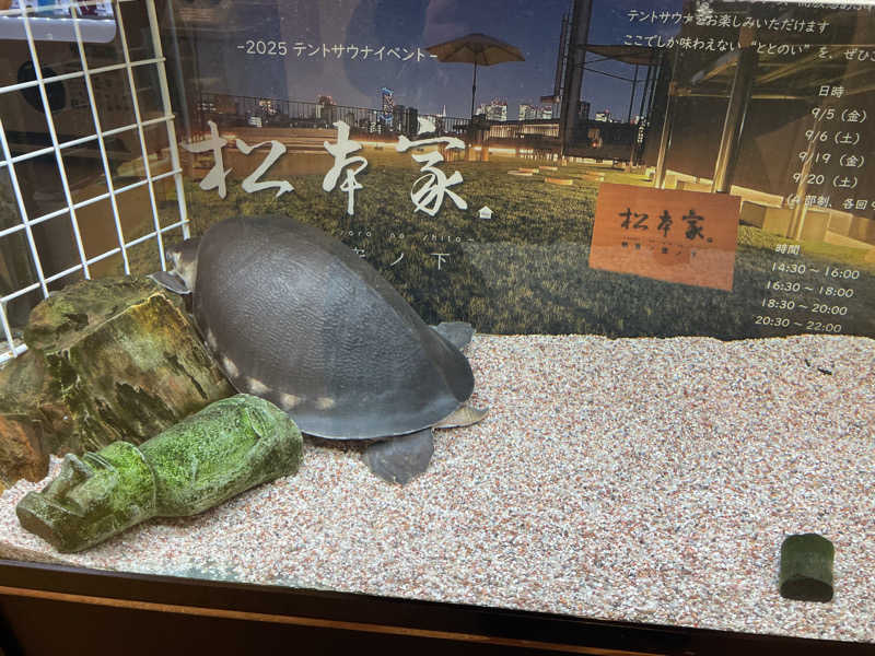komさんの松本湯のサ活写真