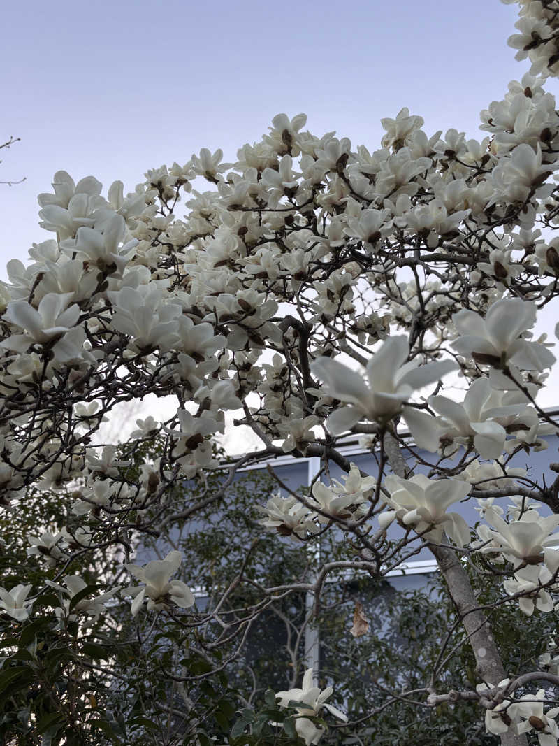 ノエルさんのトレスタ白山のサ活写真