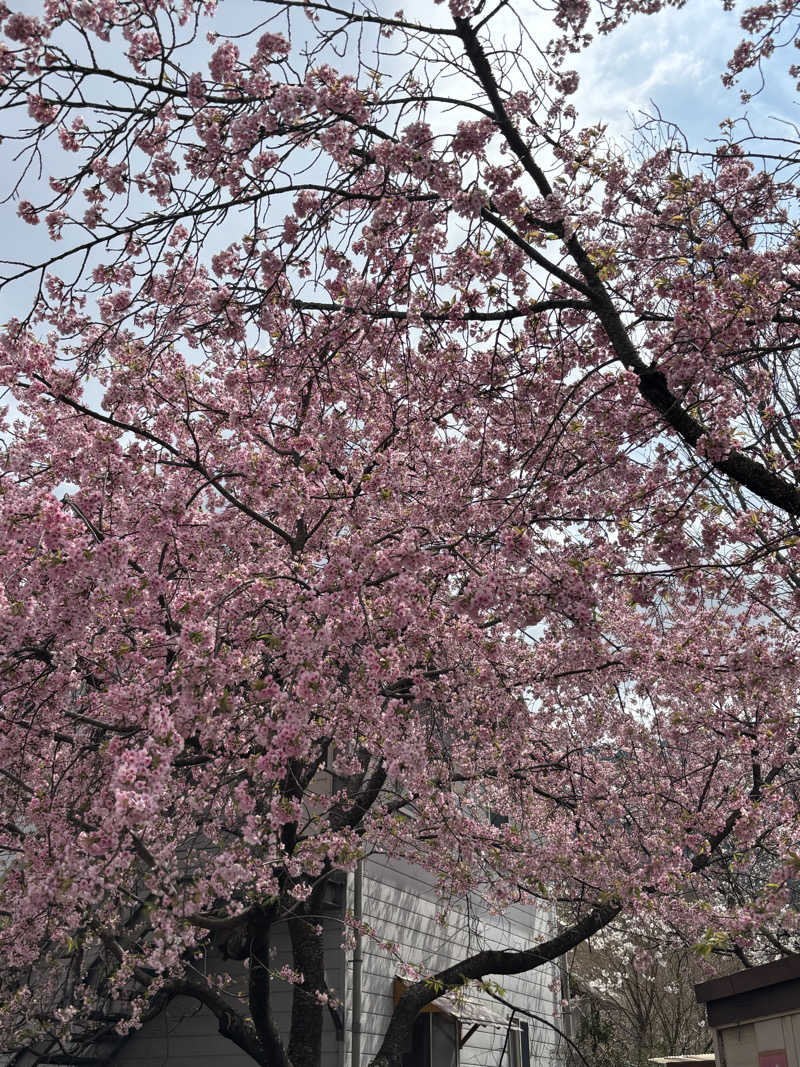 ノエルさんの美濃田の湯のサ活写真