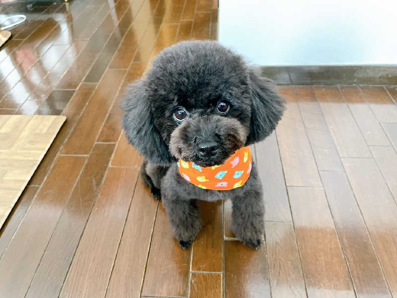 KAMIさんの湯処花ゆづきのサ活写真