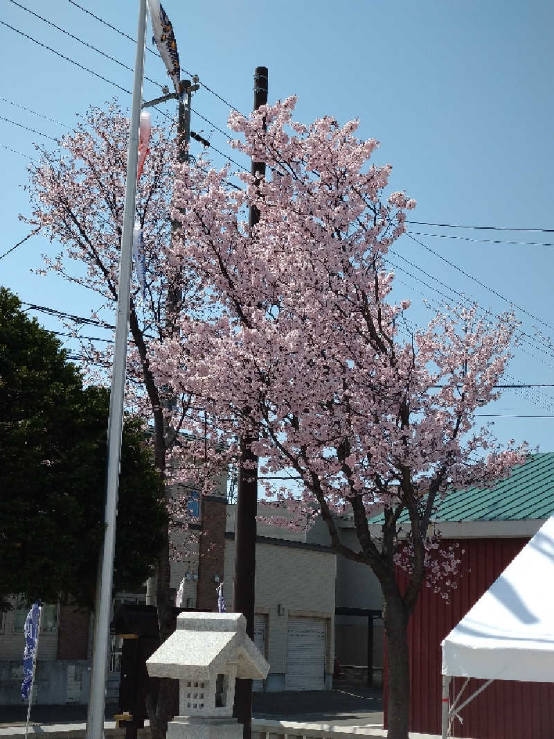 KAMIさんの湯処花ゆづきのサ活写真