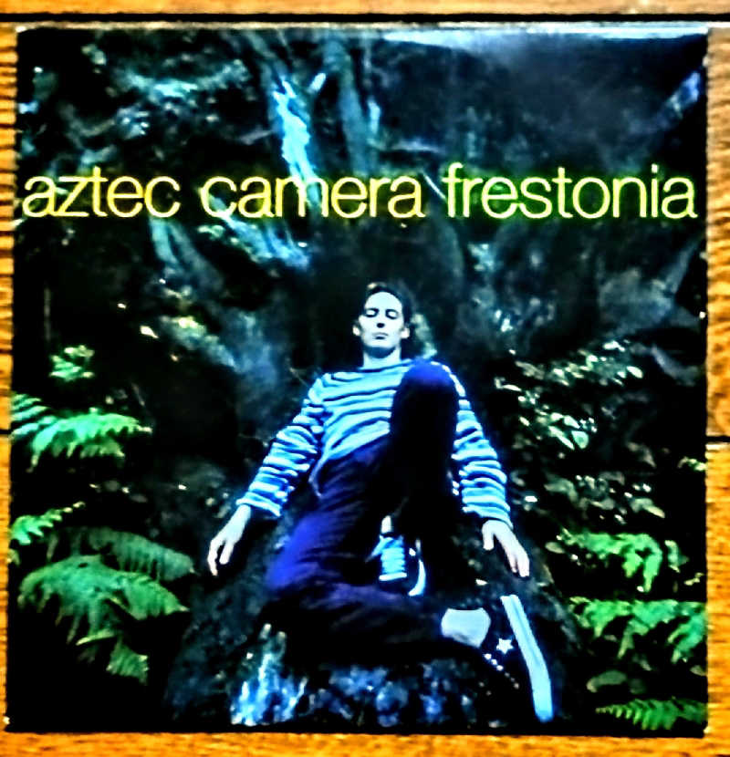 KAMIさんのシャトレーゼ ガトーキングダム札幌のサ活写真