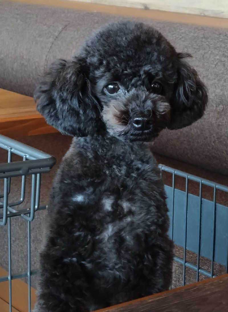 KAMIさんの北のたまゆら 江別店のサ活写真