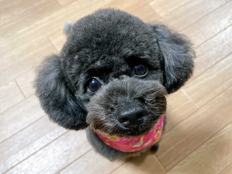 KAMIさんの湯処花ゆづきのサ活写真