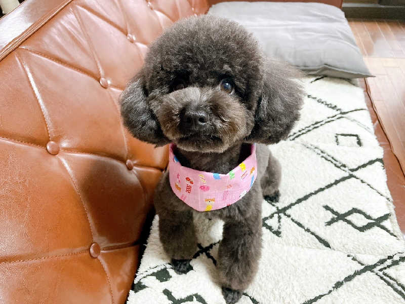 KAMIさんのサウナコタンサッポロのサ活写真
