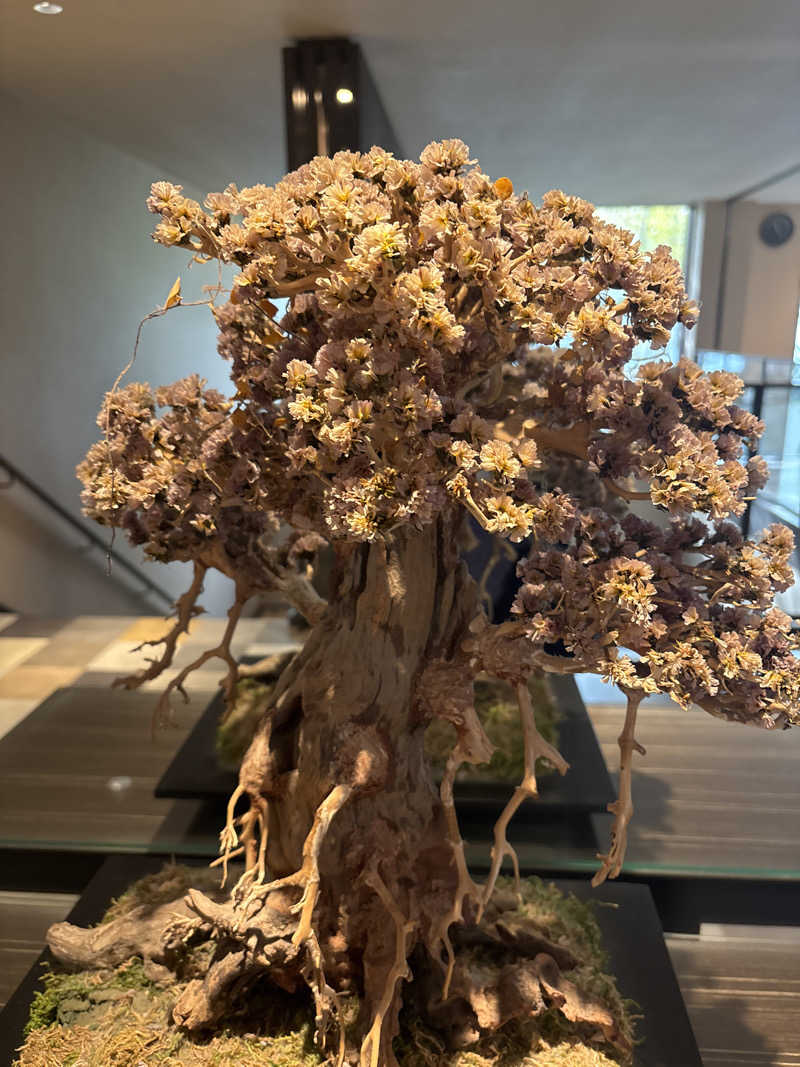 Junさんの虹の湯大阪狭山店のサ活写真