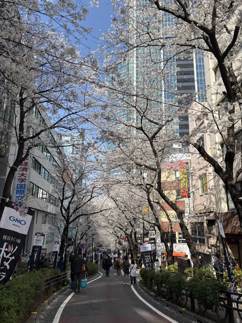 aoさんの渋谷SAUNASのサ活写真