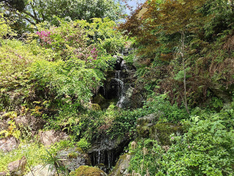 もりそばさんのよみうりランド眺望温泉 花景の湯のサ活写真