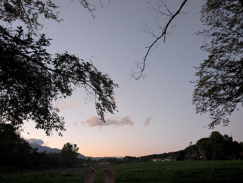 まゆらさんのSauna cota nisekoのサ活写真