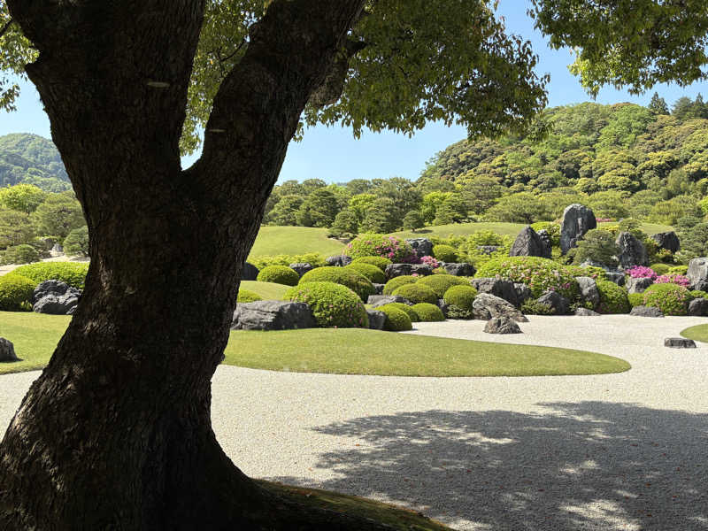 ごまごまあざらしさんの夢ランドしらさぎのサ活写真