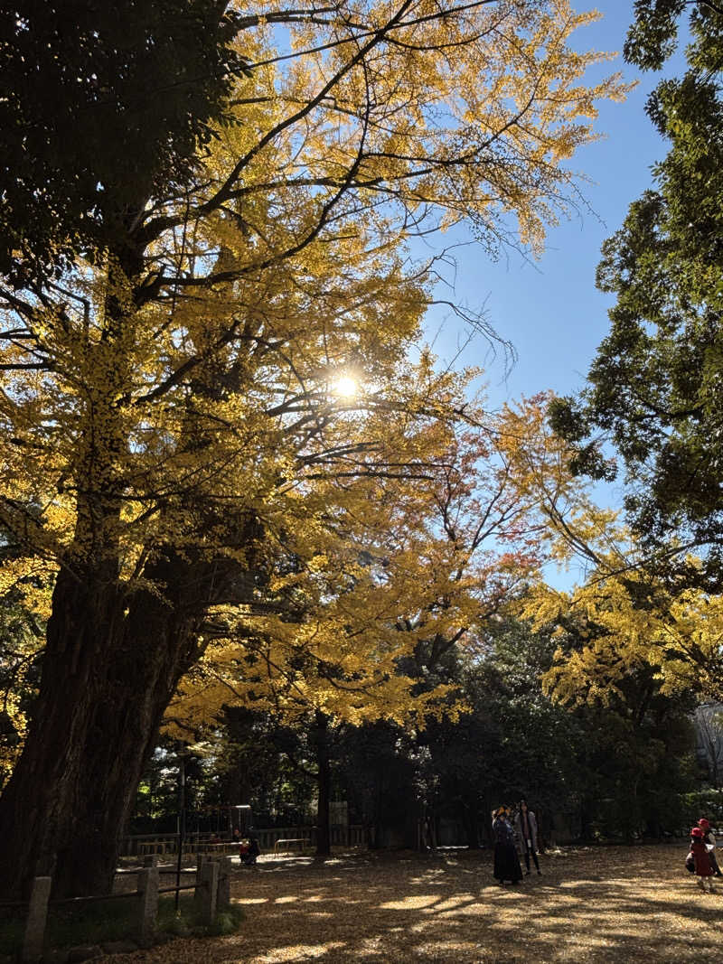 ごまごまあざらしさんのサウナリゾートオリエンタル赤坂のサ活写真