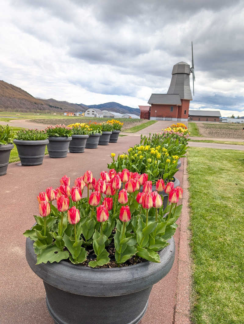 あきさんのたきのうえホテル渓谷のサ活写真