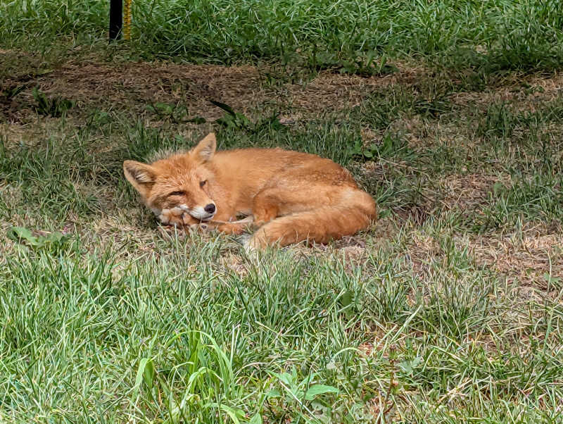 あきさんの銀河の湯あしょろのサ活写真