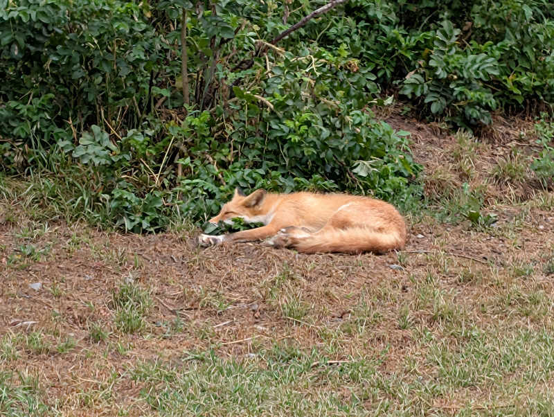 あきさんの銀河の湯あしょろのサ活写真