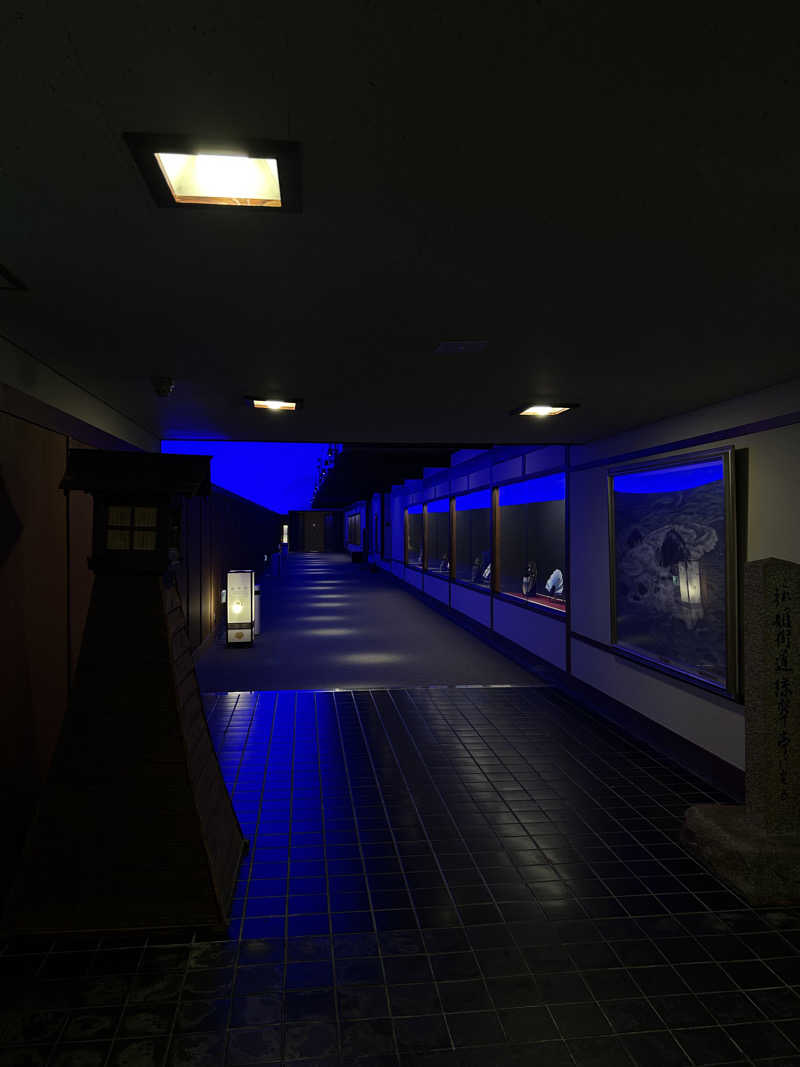 Kanami Satoさんの平野屋サウナのサ活写真