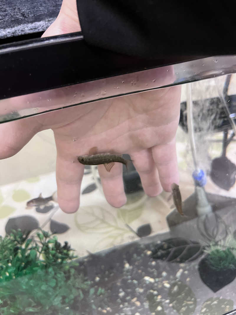 6868さんの湯どころ みのりのサ活写真