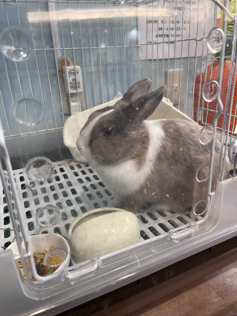 6868さんのアクアリゾート 岐阜ふじの湯のサ活写真