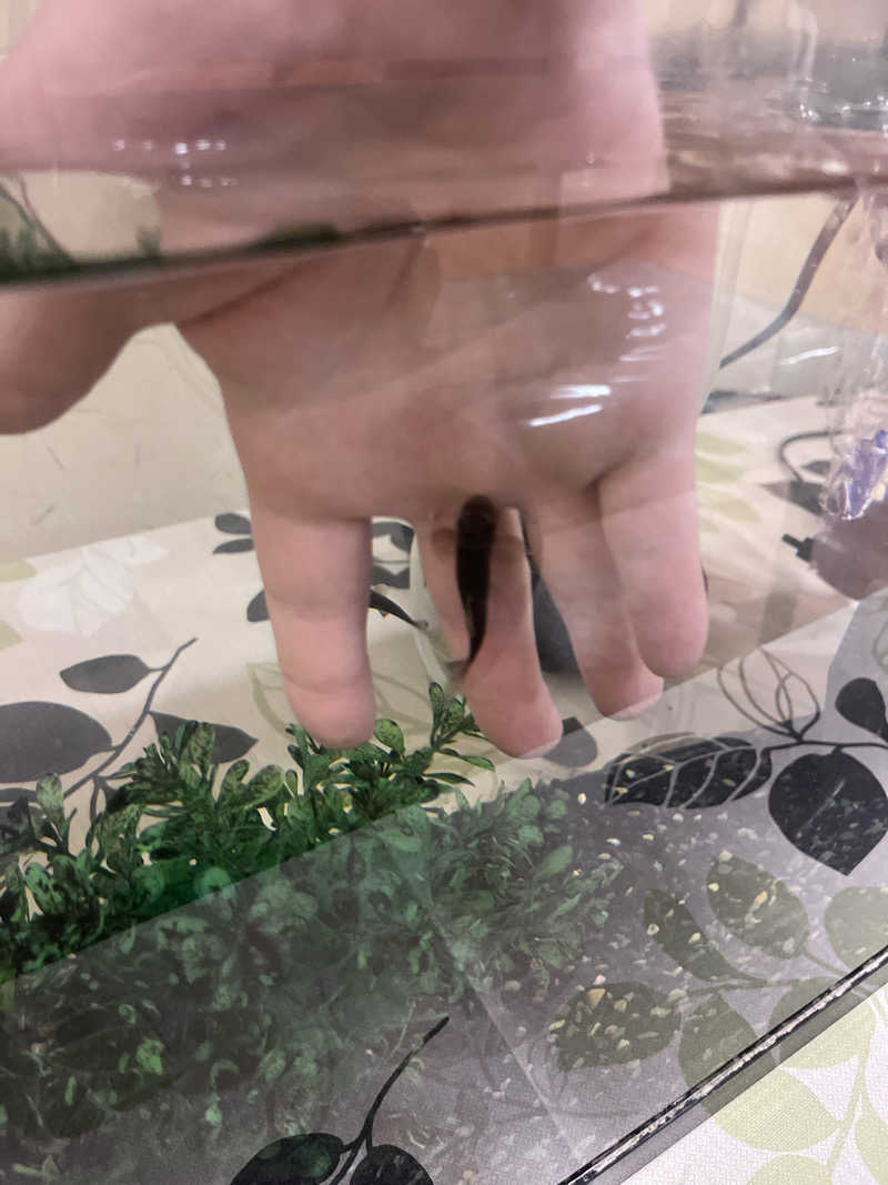 6868さんの湯どころ みのりのサ活写真
