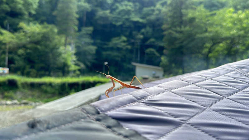 ryoさんのテントサウナパーク In 高瀬野のサ活写真