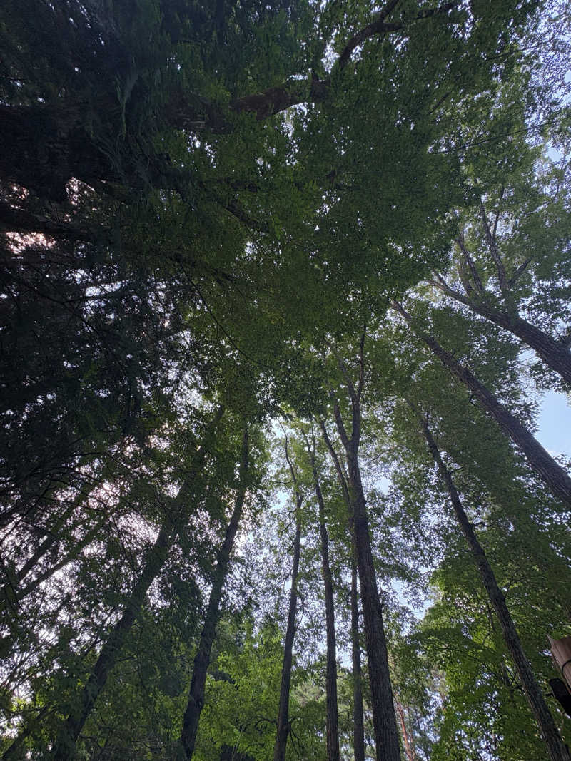 RYUTOさんのこもれびサウナのサ活写真