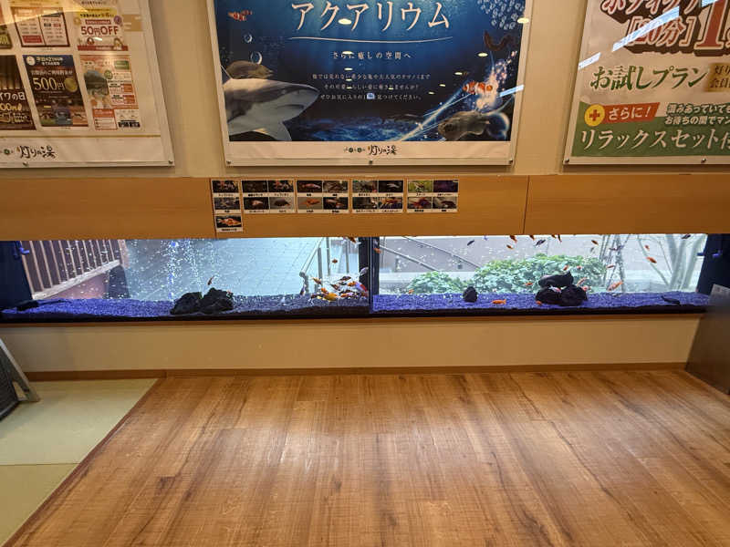 じゅんじゅんさんの竹取温泉 灯りの湯のサ活写真