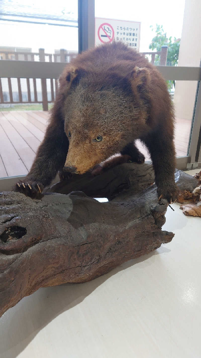 ようようズさんの西木温泉 クリオンのサ活写真
