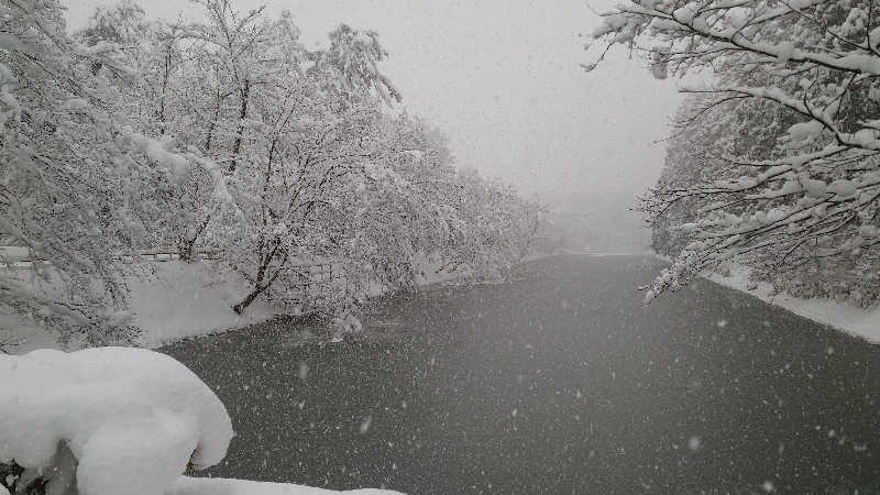 ようようズさんの境関温泉のサ活写真