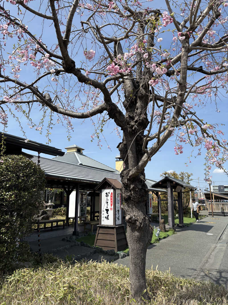 ボルさんのおふろの王様 海老名店のサ活写真