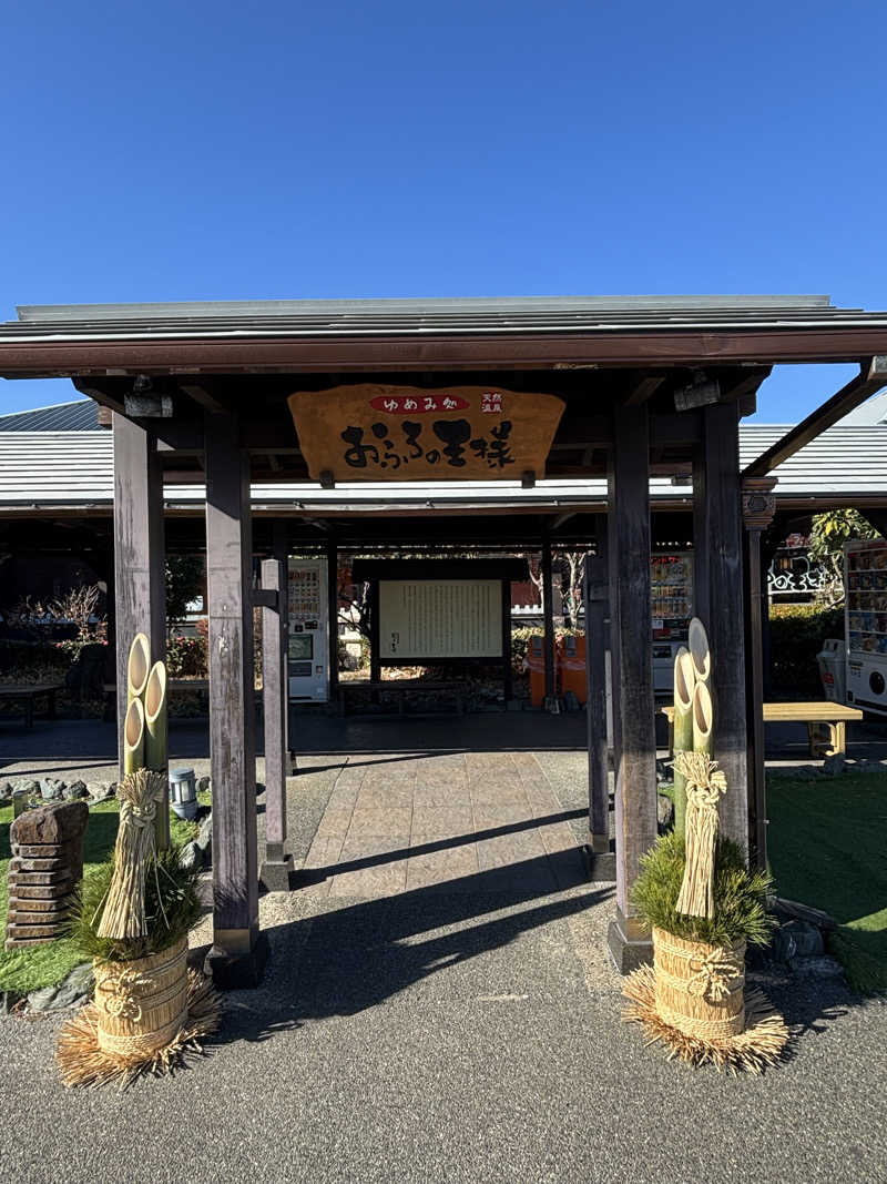 ボルさんのおふろの王様 海老名店のサ活写真