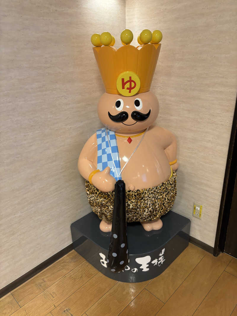 ボルさんのおふろの王様 海老名店のサ活写真
