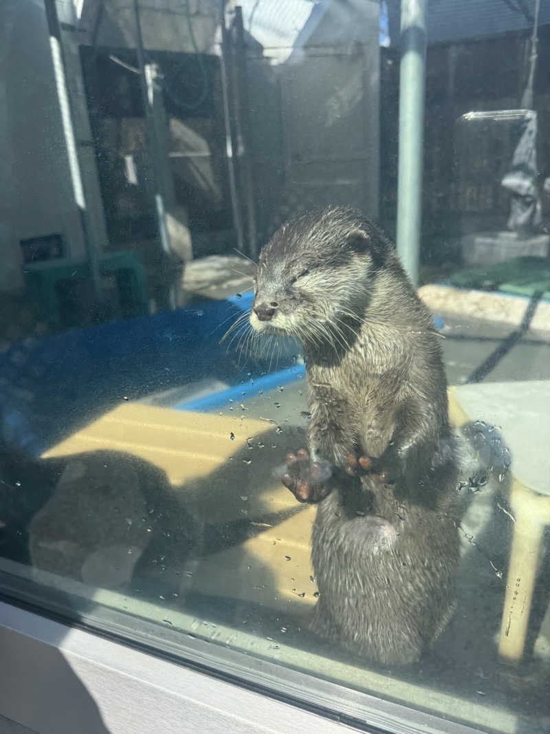 ゆたぽさんのよみうりランド眺望温泉 花景の湯のサ活写真