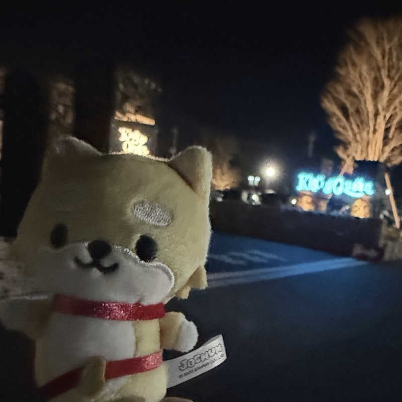 むさんの温泉バルコニー キング&クイーンのサ活写真