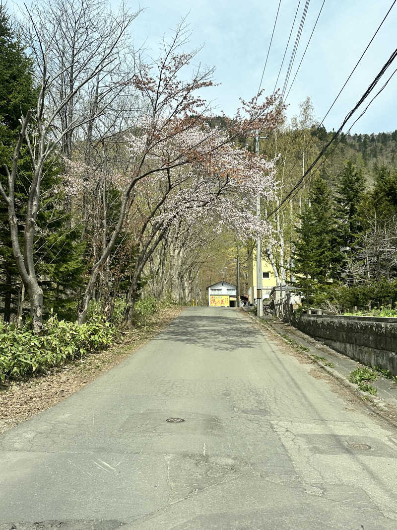 しゅんやさんの定山渓温泉 湯の花のサ活写真