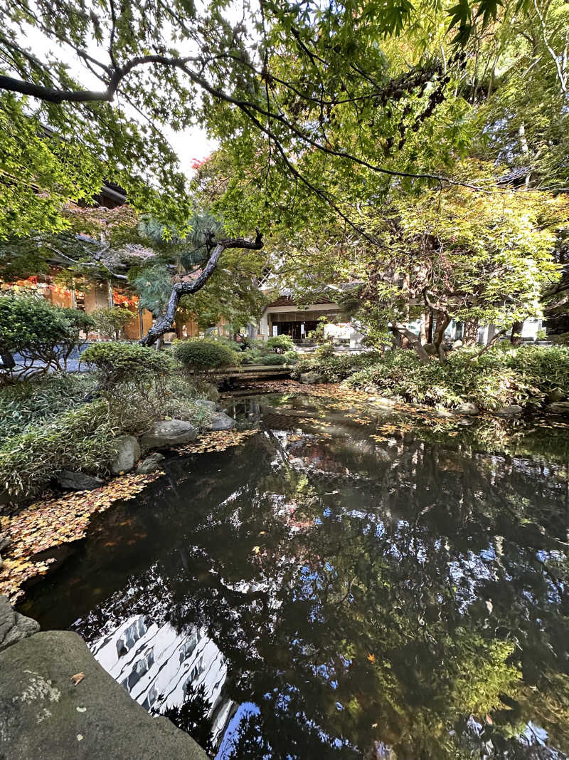 しゅんやさんの湯元 啄木亭のサ活写真