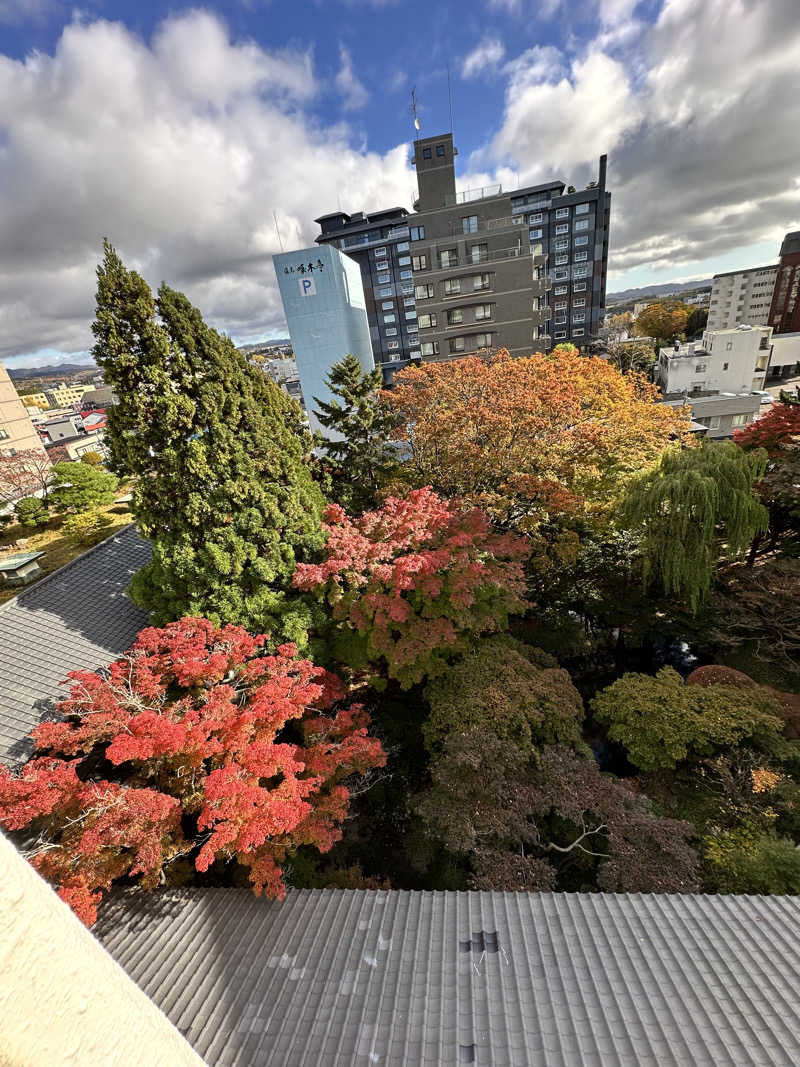 しゅんやさんの湯元 啄木亭のサ活写真