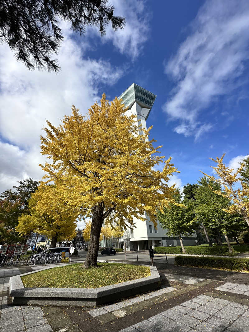 しゅんやさんの湯元 啄木亭のサ活写真