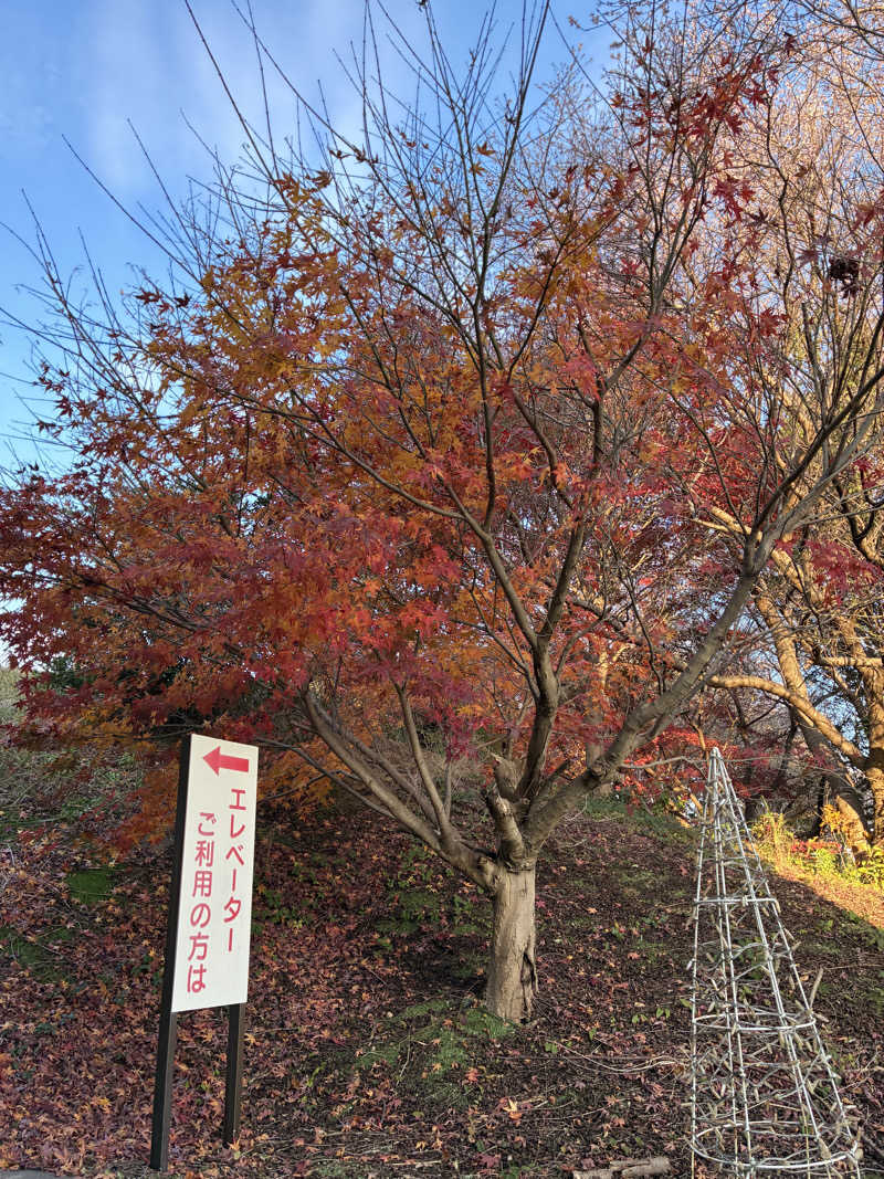 ひろきちさんの天然温泉 本宮の湯のサ活写真
