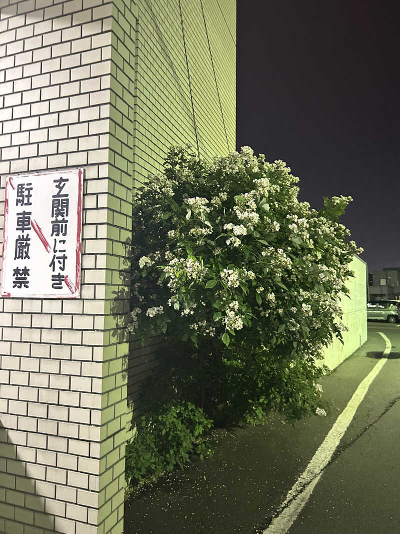 りぼんさんの月見湯のサ活写真