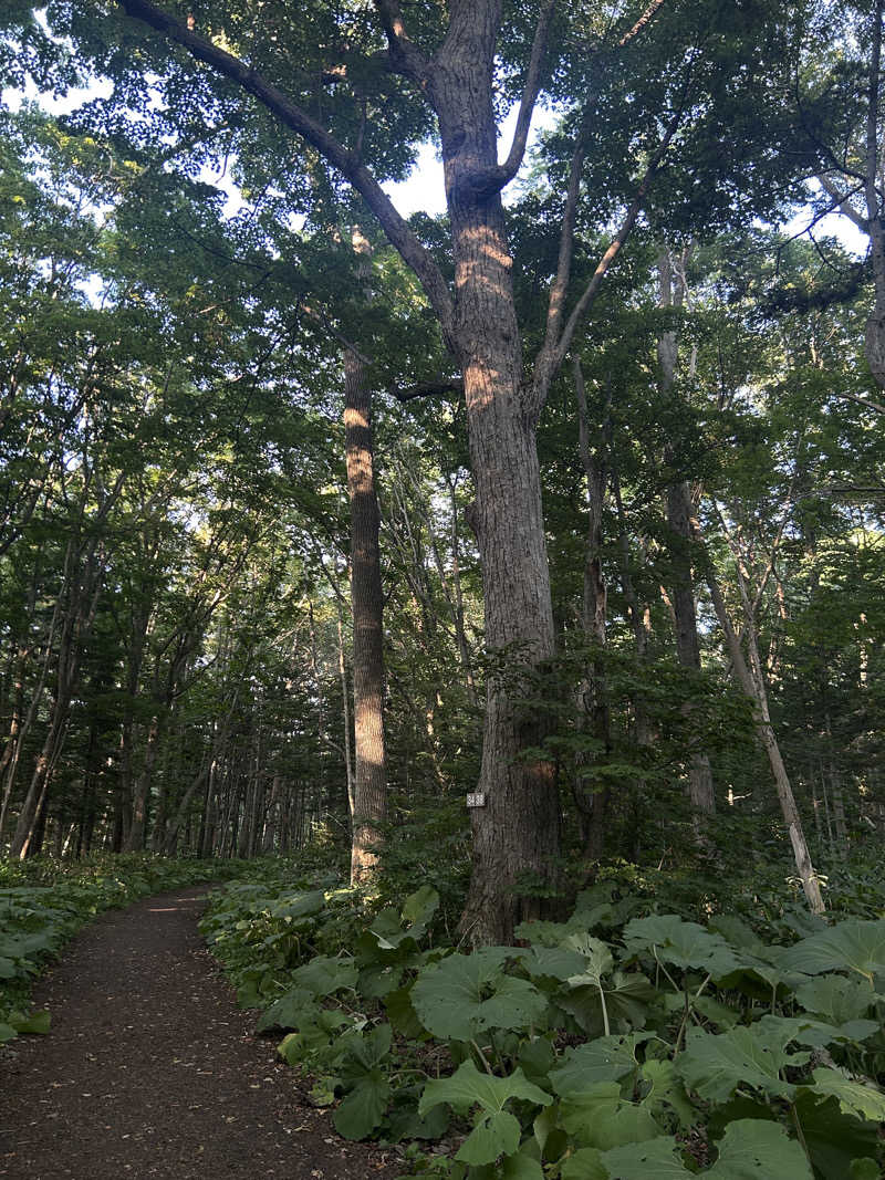 りぼんさんの湯の花江別殿のサ活写真