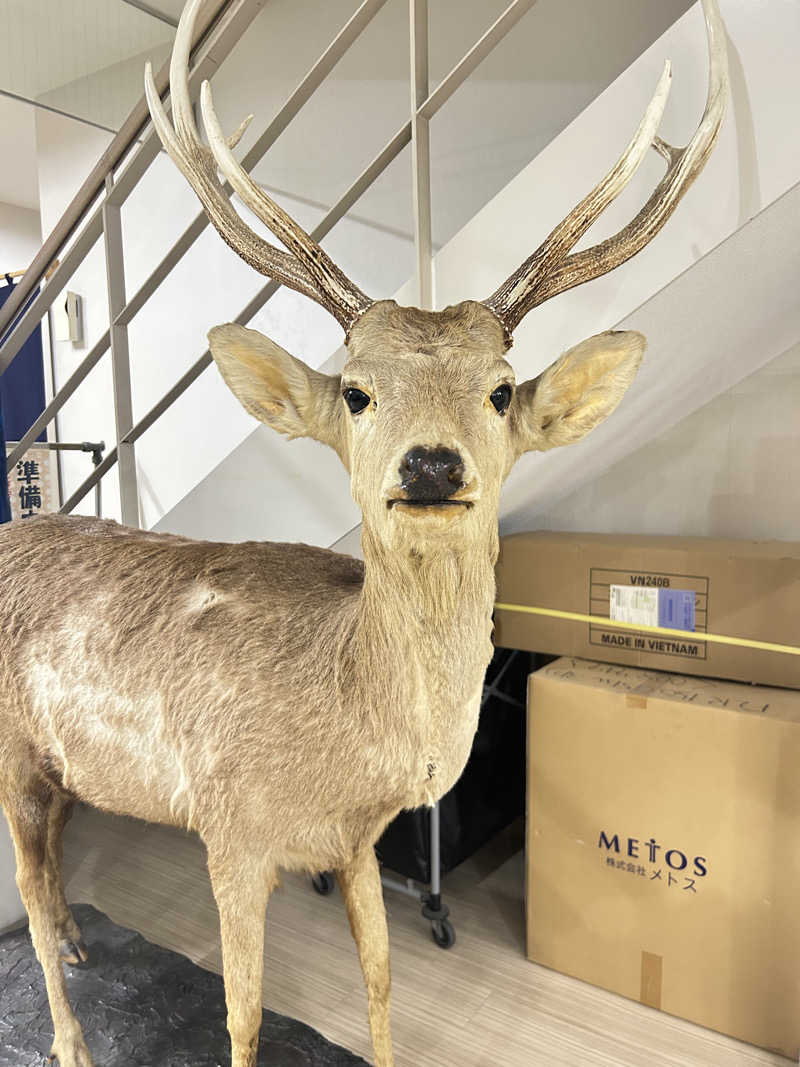 りぼんさんの恵庭温泉ラ・フォーレのサ活写真