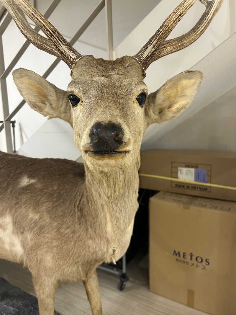 りぼんさんの恵庭温泉ラ・フォーレのサ活写真