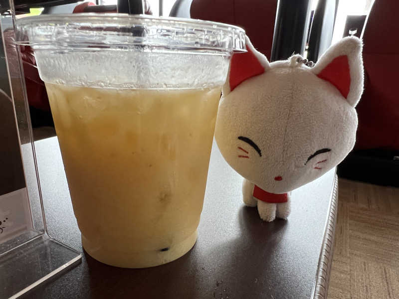 ルトさんの名東温泉 花しょうぶのサ活写真